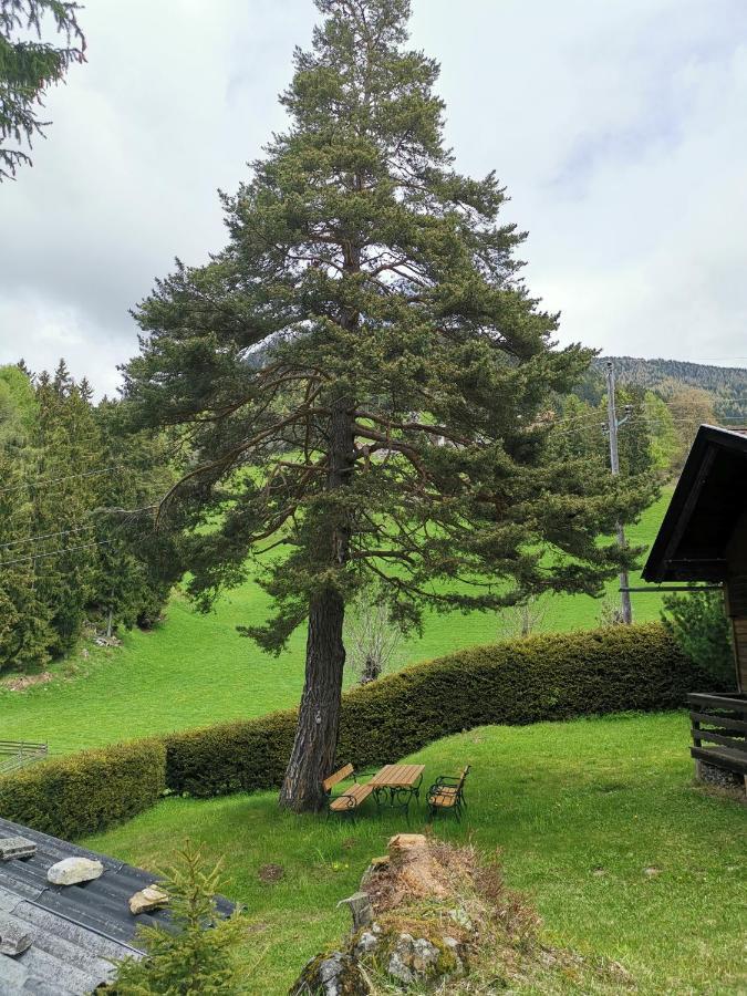 Waldheimat Apartman Fresach Kültér fotó